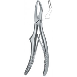 Klein , Roots 51S