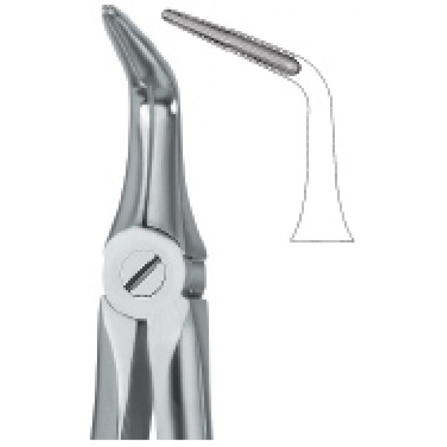 Lower Roots 46