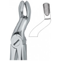 Third Molars 67 A