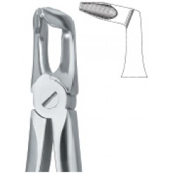 Third Molars ,Deep Gripping 79N
