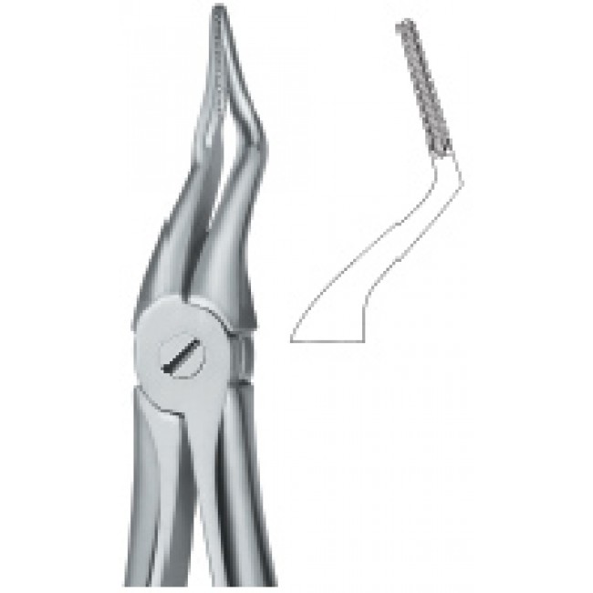 Tooth Ext Forceps