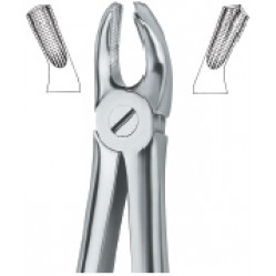 Molars 18
