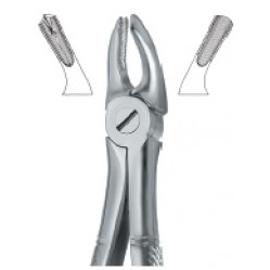 Molars , Right 39R