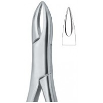Tooth Extracting Forceps|(amr)