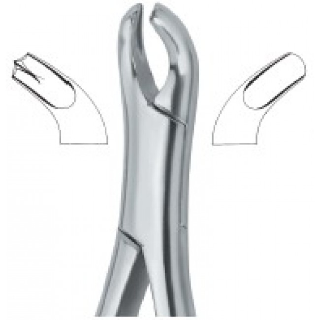 Harris Molars , Right 18R