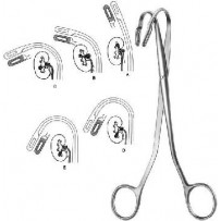 Urology