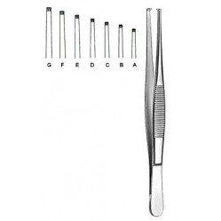 Dissecting Forceps