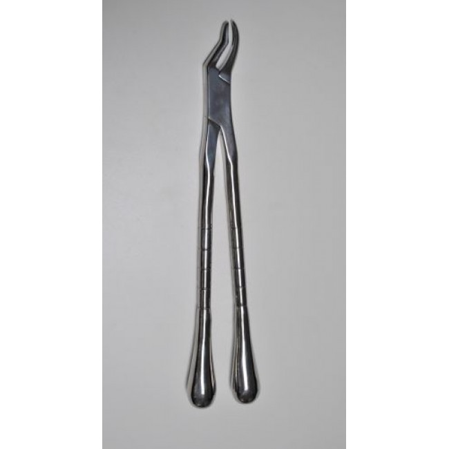 Fragment Forceps